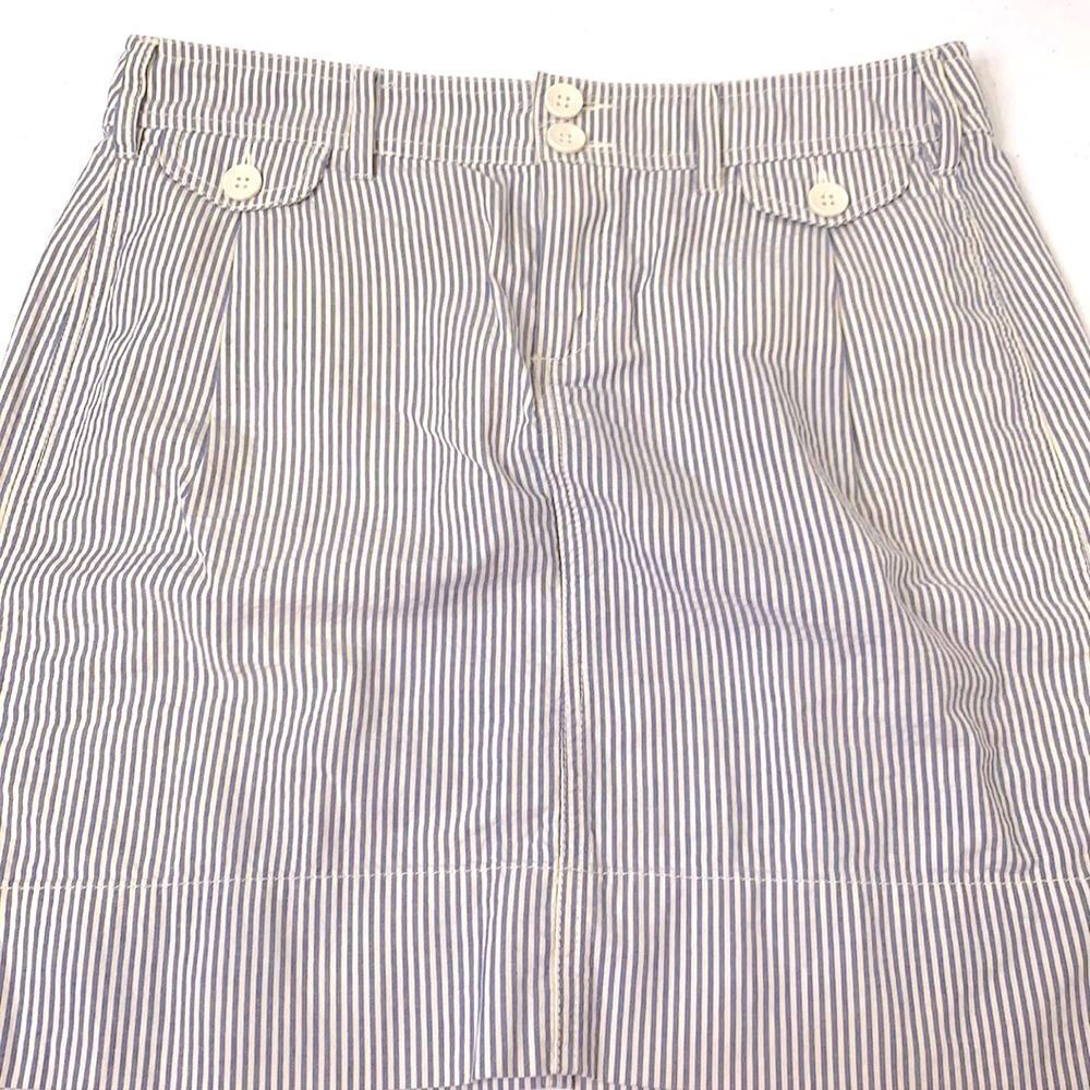 Paper Boy Pinstriped Skirt